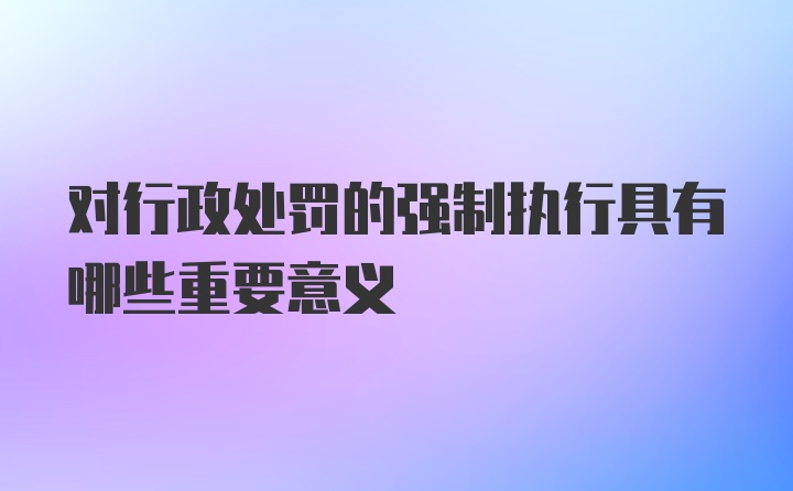 对行政处罚的强制执行具有哪些重要意义