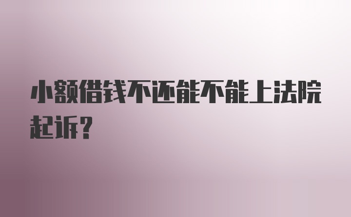 小额借钱不还能不能上法院起诉？