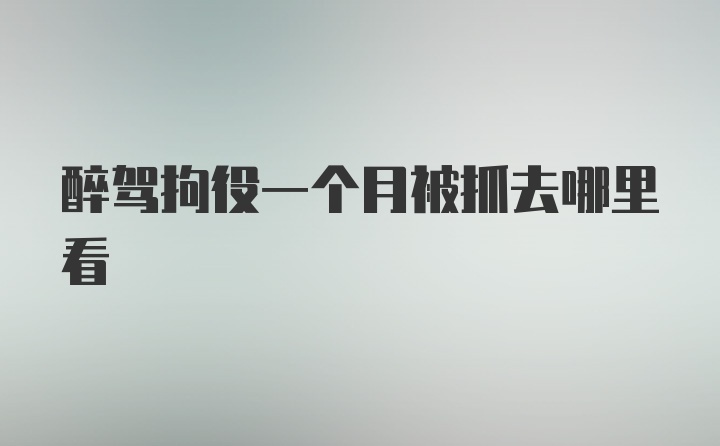 醉驾拘役一个月被抓去哪里看