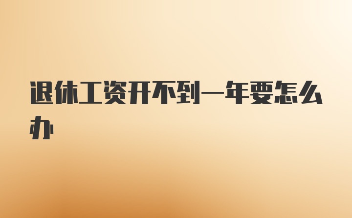 退休工资开不到一年要怎么办