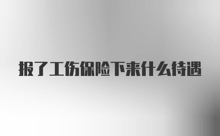 报了工伤保险下来什么待遇