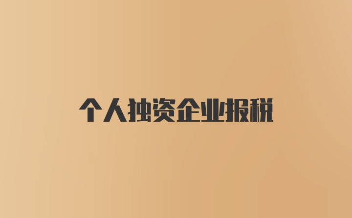 个人独资企业报税