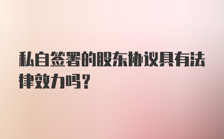 私自签署的股东协议具有法律效力吗?