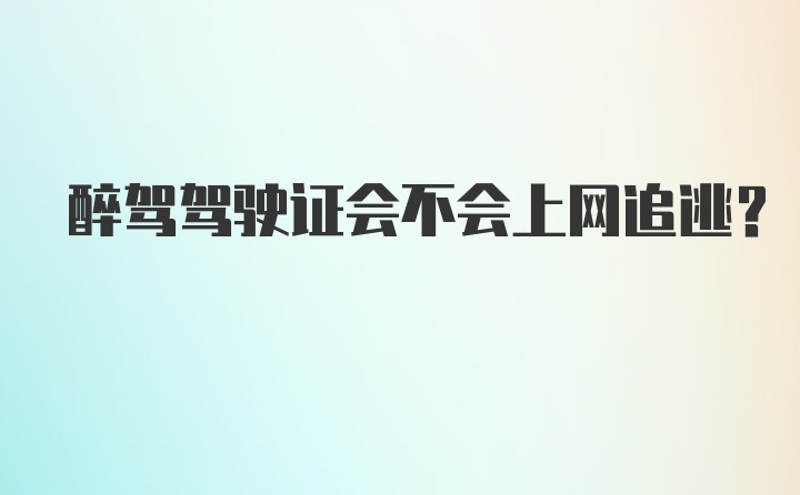 醉驾驾驶证会不会上网追逃?