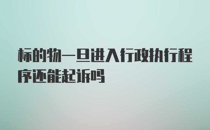 标的物一旦进入行政执行程序还能起诉吗