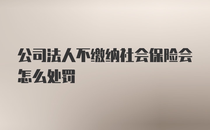 公司法人不缴纳社会保险会怎么处罚