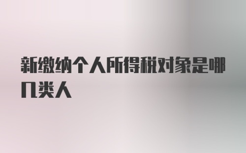 新缴纳个人所得税对象是哪几类人