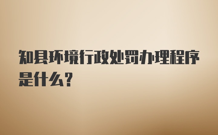 知县环境行政处罚办理程序是什么？