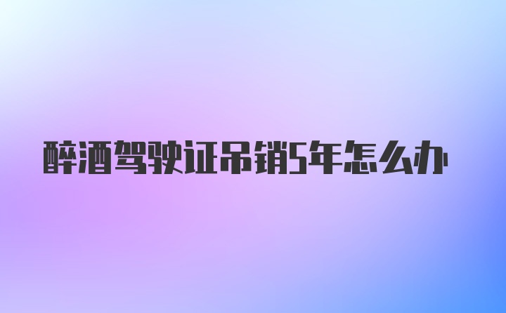 醉酒驾驶证吊销5年怎么办