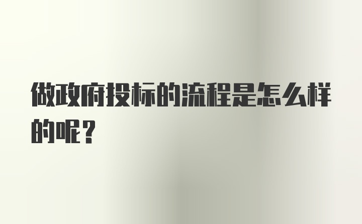 做政府投标的流程是怎么样的呢？