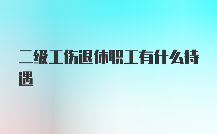 二级工伤退休职工有什么待遇