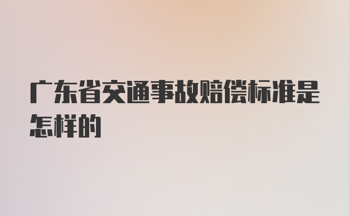 广东省交通事故赔偿标准是怎样的