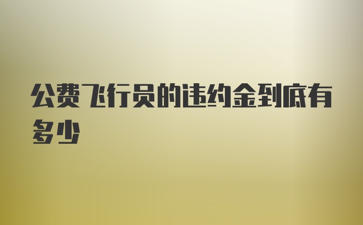 公费飞行员的违约金到底有多少