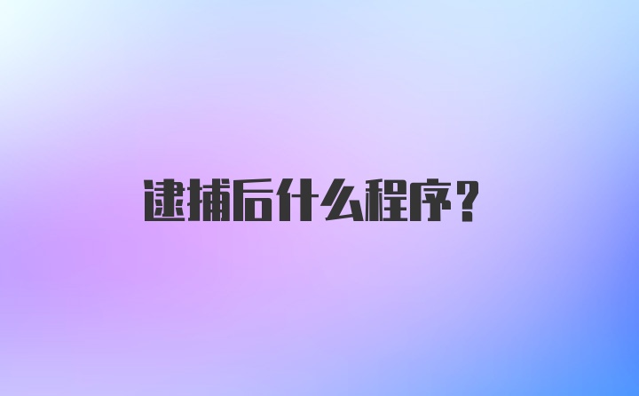 逮捕后什么程序？