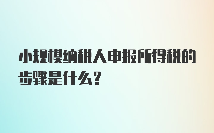 小规模纳税人申报所得税的步骤是什么?