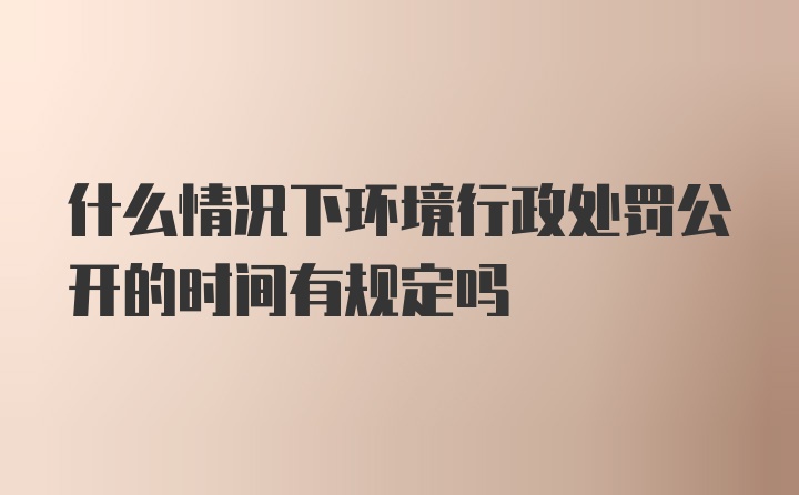 什么情况下环境行政处罚公开的时间有规定吗