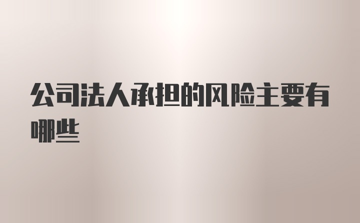 公司法人承担的风险主要有哪些