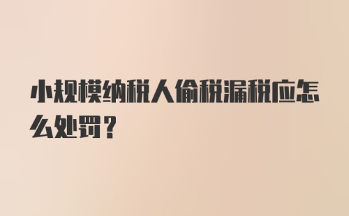 小规模纳税人偷税漏税应怎么处罚？