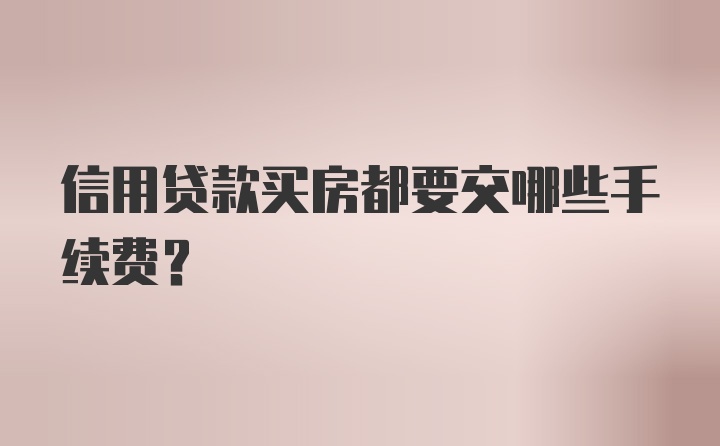 信用贷款买房都要交哪些手续费？