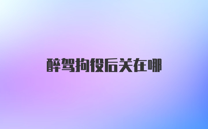 醉驾拘役后关在哪