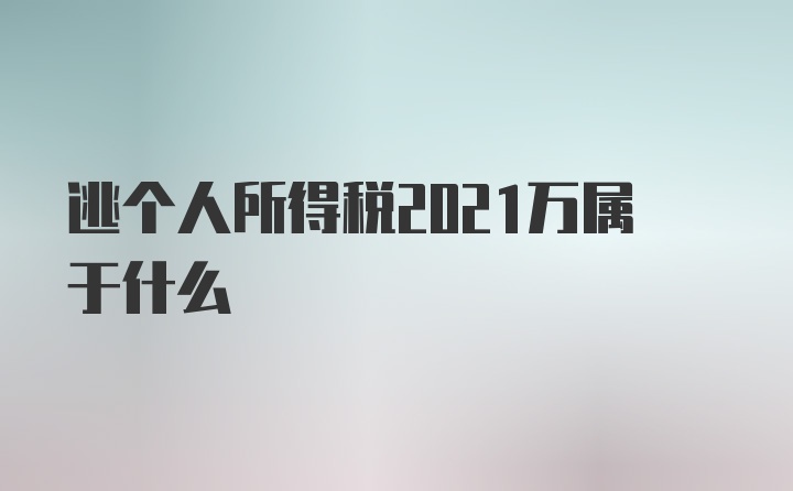 逃个人所得税2021万属于什么