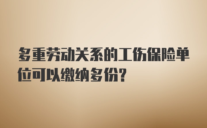 多重劳动关系的工伤保险单位可以缴纳多份？