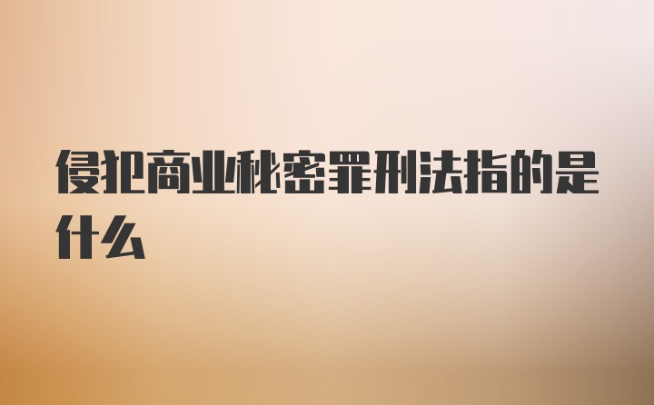 侵犯商业秘密罪刑法指的是什么