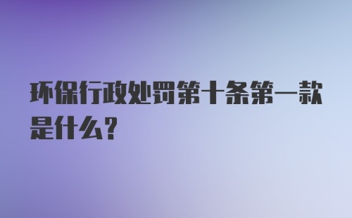 环保行政处罚第十条第一款是什么？