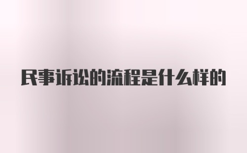 民事诉讼的流程是什么样的