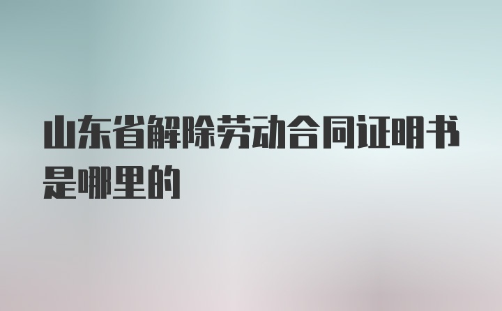 山东省解除劳动合同证明书是哪里的