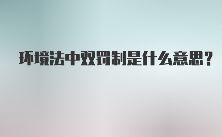 环境法中双罚制是什么意思？