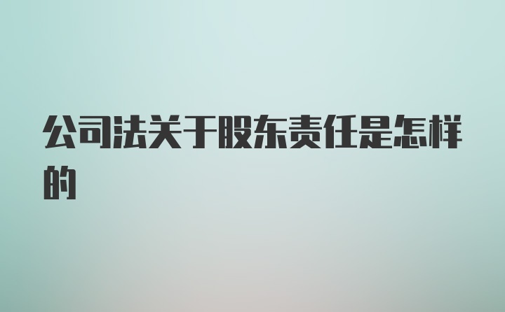 公司法关于股东责任是怎样的