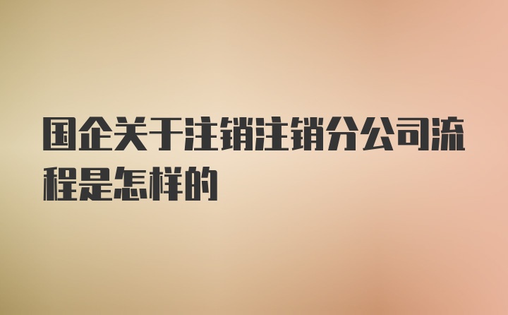 国企关于注销注销分公司流程是怎样的