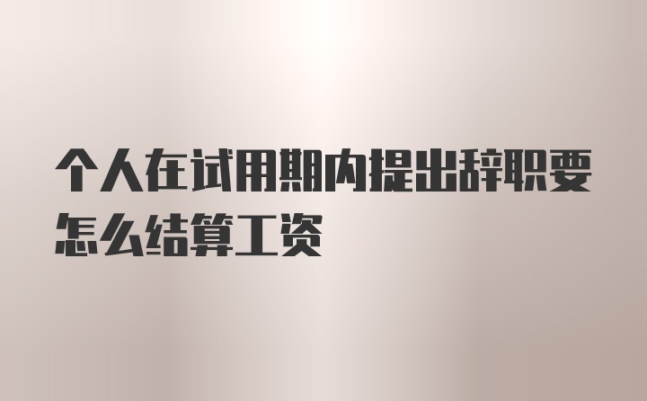 个人在试用期内提出辞职要怎么结算工资