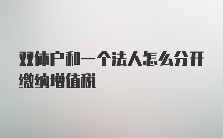 双体户和一个法人怎么分开缴纳增值税