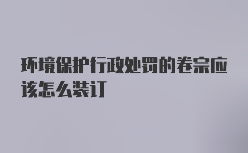 环境保护行政处罚的卷宗应该怎么装订