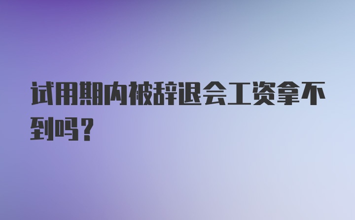 试用期内被辞退会工资拿不到吗？