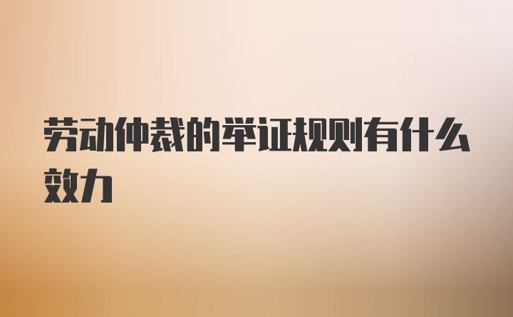 劳动仲裁的举证规则有什么效力