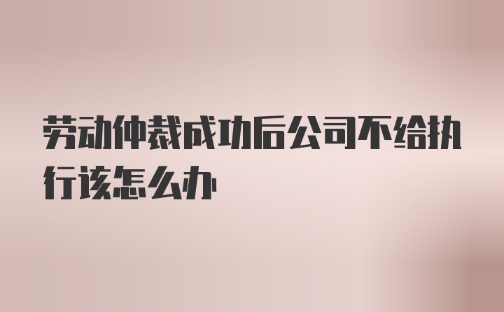 劳动仲裁成功后公司不给执行该怎么办