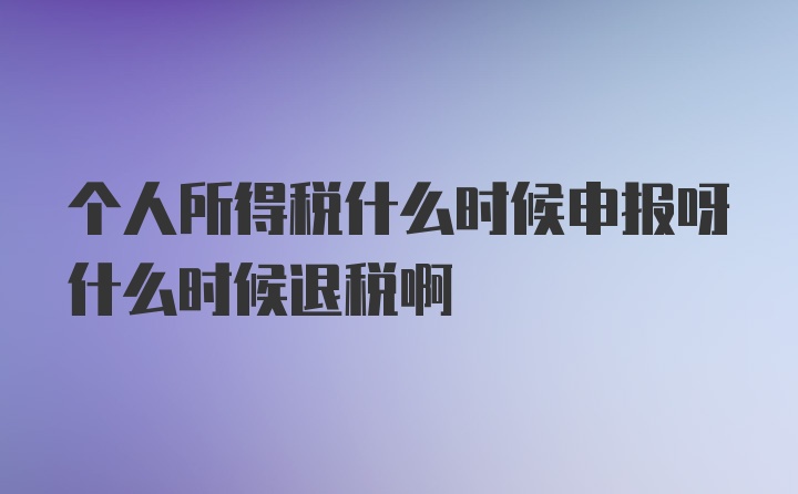 个人所得税什么时候申报呀什么时候退税啊