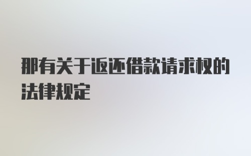 那有关于返还借款请求权的法律规定