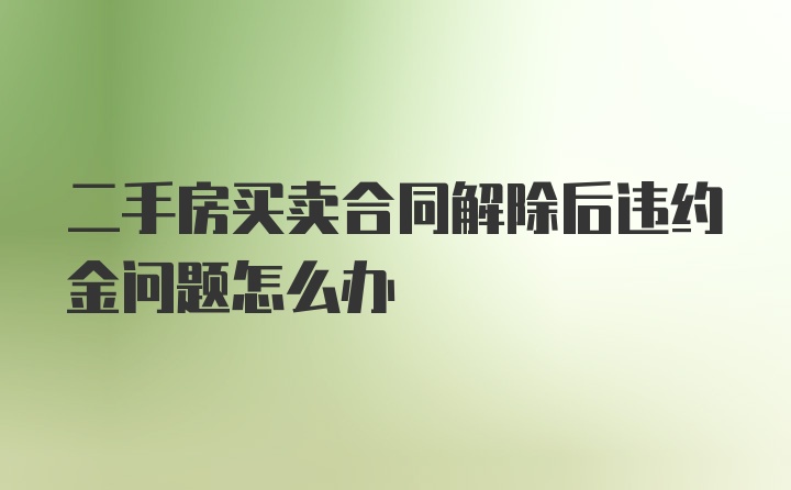 二手房买卖合同解除后违约金问题怎么办