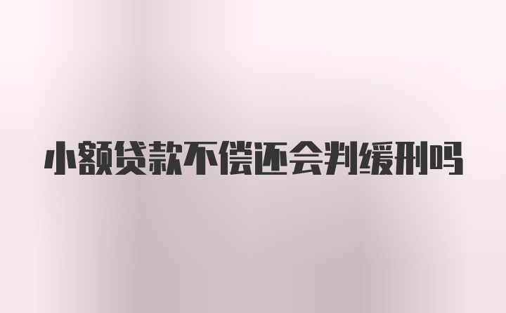 小额贷款不偿还会判缓刑吗