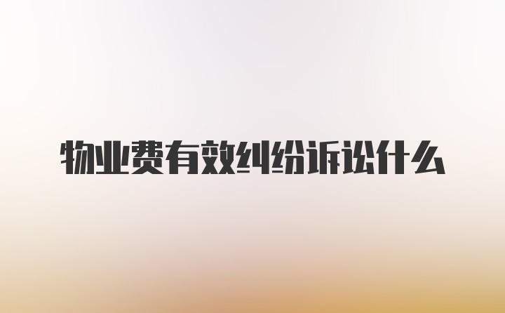 物业费有效纠纷诉讼什么