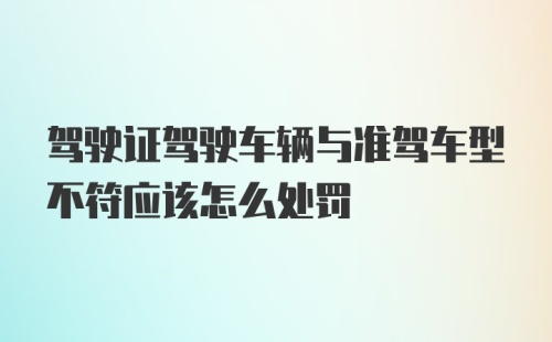 驾驶证驾驶车辆与准驾车型不符应该怎么处罚