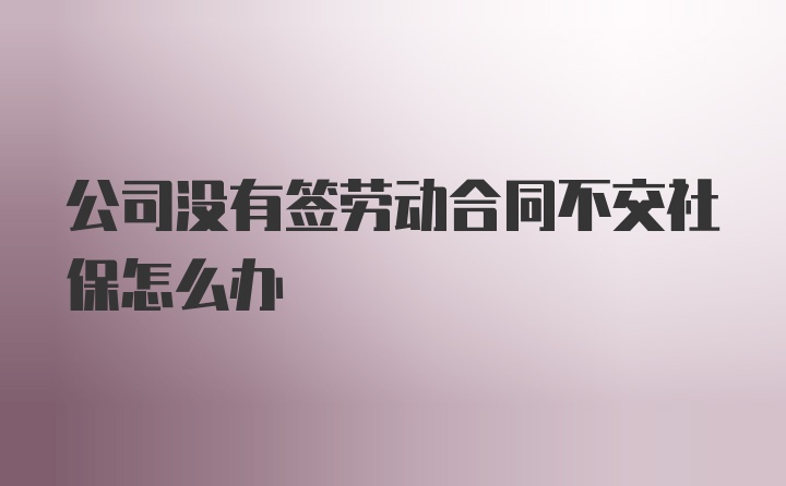 公司没有签劳动合同不交社保怎么办