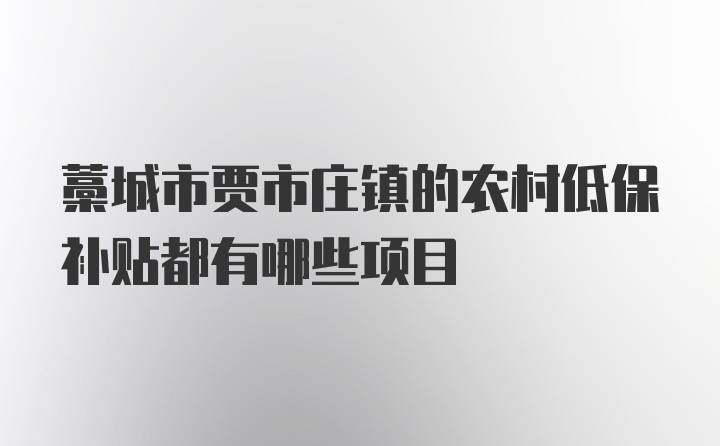 藁城市贾市庄镇的农村低保补贴都有哪些项目