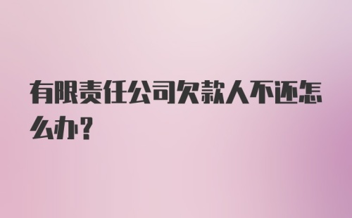 有限责任公司欠款人不还怎么办？