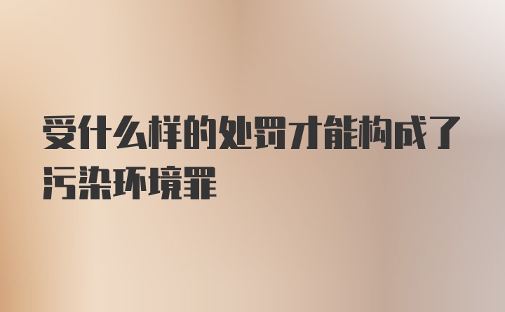 受什么样的处罚才能构成了污染环境罪