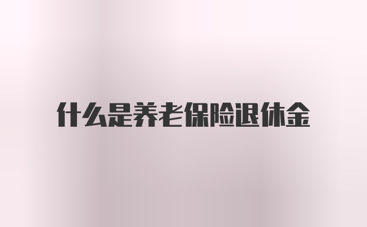 什么是养老保险退休金